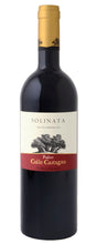 Lade das Bild in den Galerie-Viewer, SOLINATA 2020 - IGT Toscana - 75cl