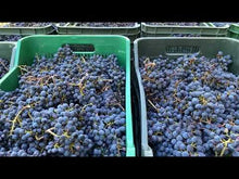 Laden und Abspielen von Videos im Galerie-Viewer, COLLE CASTAGNO 2018 - IGT Toscana - 75cl